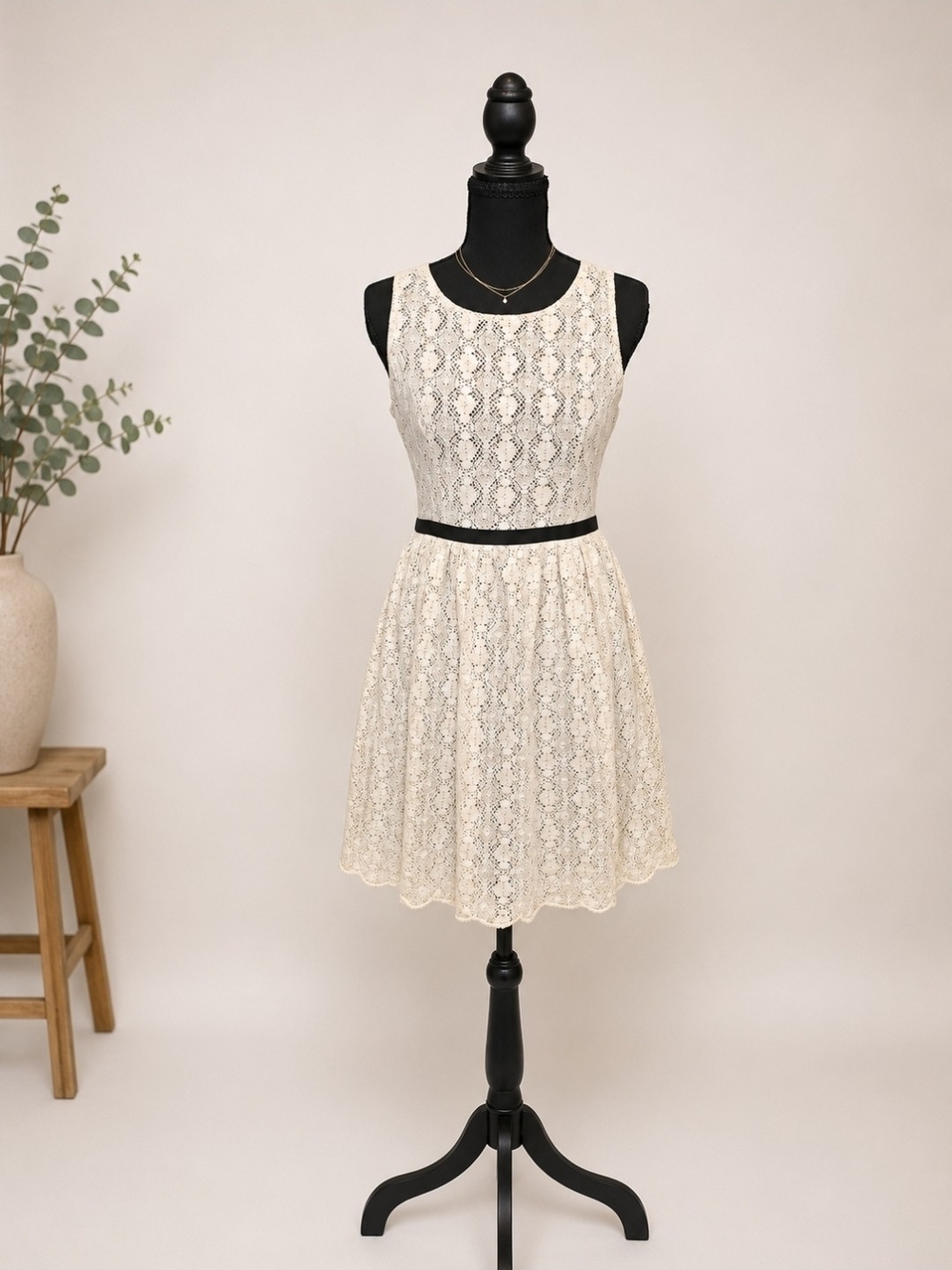 Forever 21 Cream Lace Fit-and-Flare Mini Dress with Black Waist